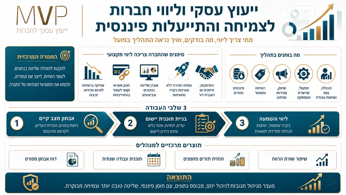 אינפוגרפיקה על ייעוץ עסקי