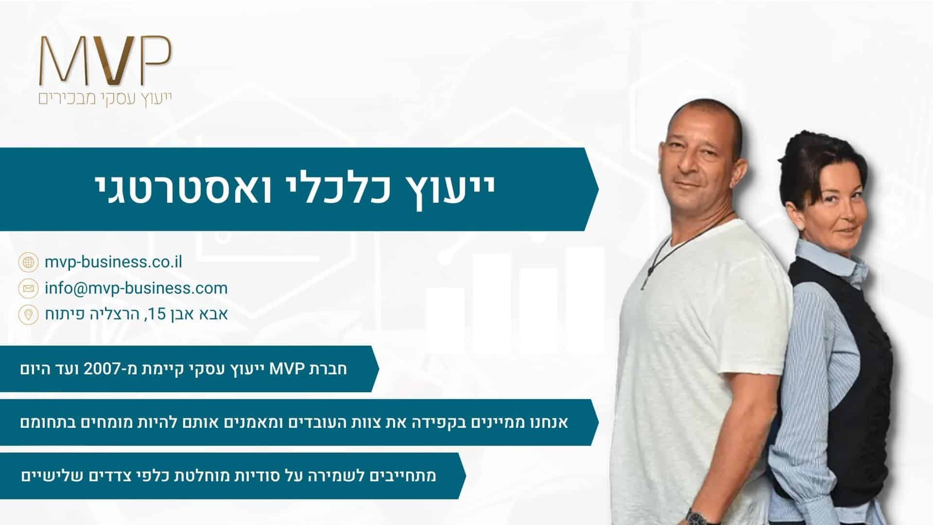 ייעוץ כלכלי ואסטרטגי - MVP