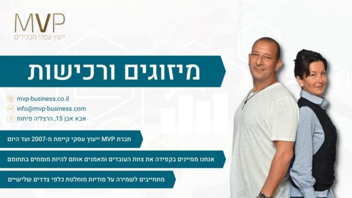 מיזוגים ורכישות
