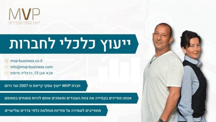 ייעוץ כלכלי לחברות