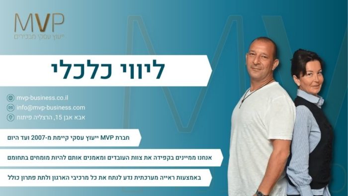 ליווי כלכלי