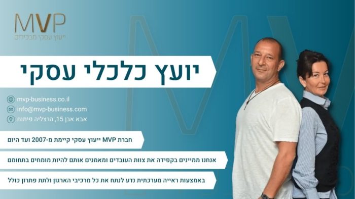 יועץ כלכלי עסקי