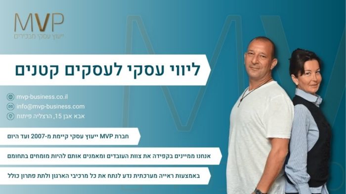 ליווי עסקי לעסקים קטנים